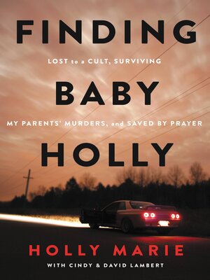 cover image of Finding Baby Holly